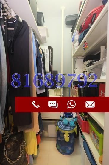 Treasure Gardens (D19), Apartment #157279942